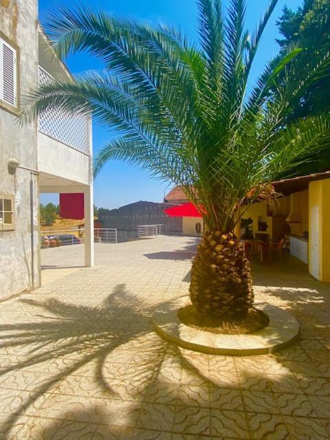 1955 Guest House Cebolais de Cima المظهر الخارجي الصورة